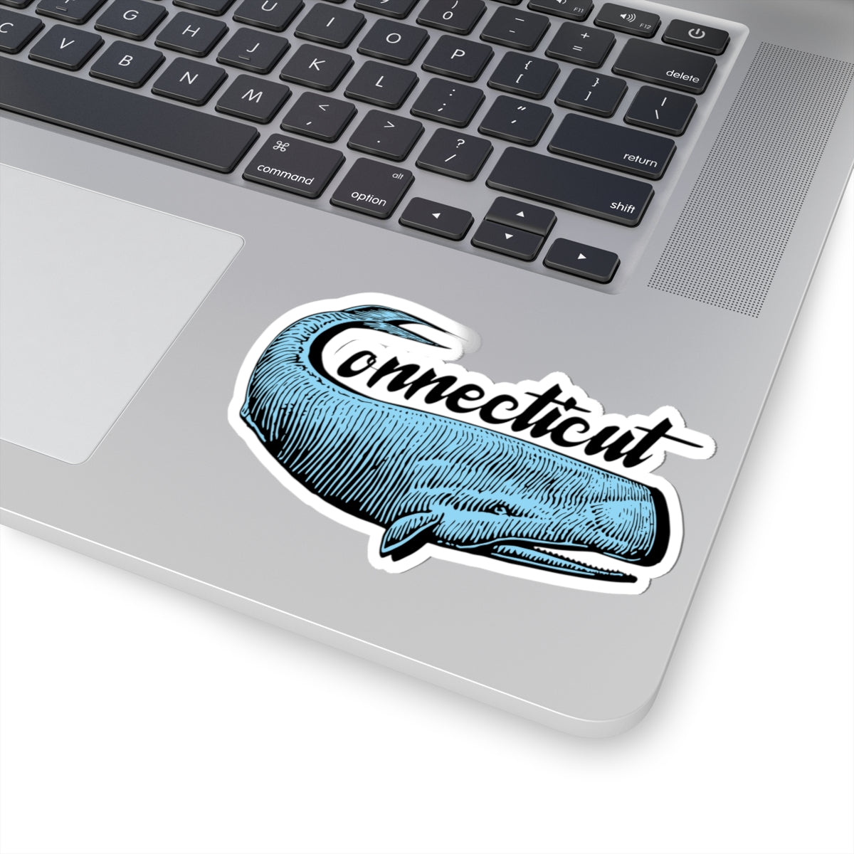 CT Whale Sticker