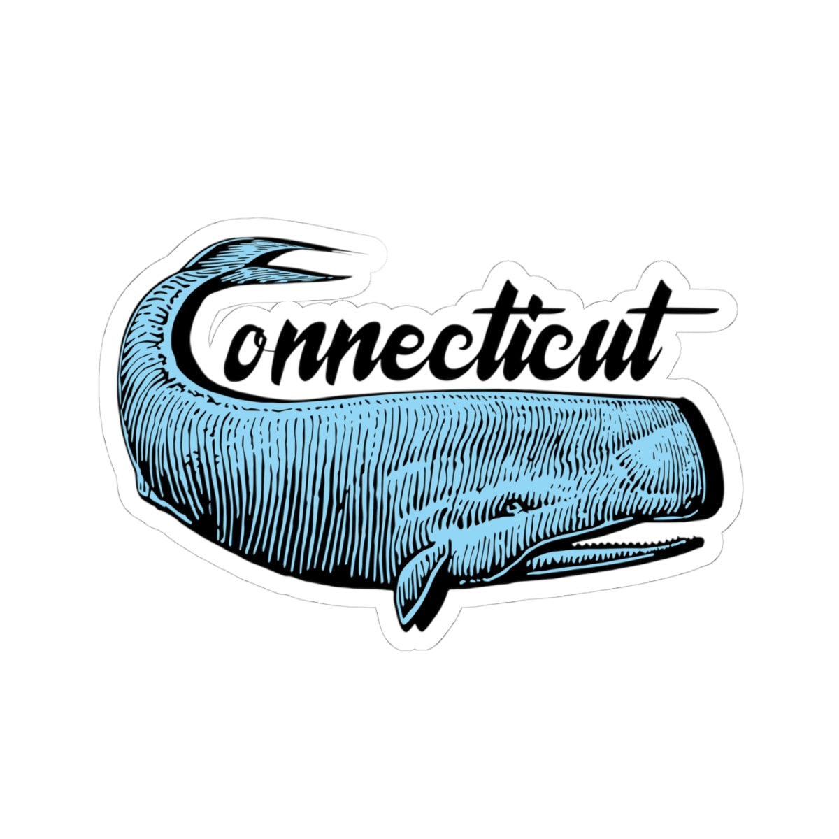 CT Whale Sticker